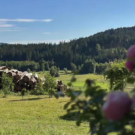 Im Zellertal Grafenried